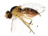  ( - BIOUG01337-A05)  @12 [ ] CreativeCommons - Attribution (2011) CBG Photography Group Centre for Biodiversity Genomics