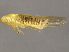  ( - BIOUG00999-B03)  @14 [ ] CreativeCommons - Attribution (2011) CBG Photography Group Centre for Biodiversity Genomics