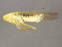  ( - BIOUG00999-B05)  @13 [ ] CreativeCommons - Attribution (2011) CBG Photography Group Centre for Biodiversity Genomics