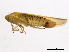  ( - BIOUG00999-B09)  @14 [ ] CreativeCommons - Attribution (2011) CBG Photography Group Centre for Biodiversity Genomics