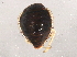  ( - BIOUG00999-H05)  @12 [ ] CreativeCommons - Attribution (2011) CBG Photography Group Centre for Biodiversity Genomics