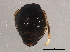  ( - BIOUG00999-H06)  @13 [ ] CreativeCommons - Attribution (2011) CBG Photography Group Centre for Biodiversity Genomics