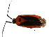  ( - BIOUG01000-D08)  @13 [ ] CreativeCommons - Attribution (2011) CBG Photography Group Centre for Biodiversity Genomics