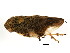  ( - BIOUG01000-D11)  @12 [ ] CreativeCommons - Attribution (2011) CBG Photography Group Centre for Biodiversity Genomics