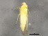  ( - BIOUG01012-A09)  @12 [ ] CreativeCommons - Attribution (2011) CBG Photography Group Centre for Biodiversity Genomics