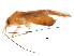 ( - BIOUG01019-F06)  @14 [ ] CreativeCommons - Attribution (2011) CBG Photography Group Centre for Biodiversity Genomics
