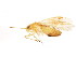  ( - BIOUG01107-B01)  @13 [ ] CreativeCommons - Attribution (2011) CBG Photography Group Centre for Biodiversity Genomics