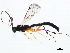  ( - BIOUG01022-C08)  @14 [ ] CreativeCommons - Attribution (2011) CBG Photography Group Centre for Biodiversity Genomics