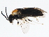  ( - BIOUG01022-F12)  @12 [ ] CreativeCommons - Attribution (2011) CBG Photography Group Centre for Biodiversity Genomics