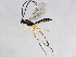  ( - BIOUG01028-B09)  @13 [ ] CreativeCommons - Attribution (2011) CBG Photography Group Centre for Biodiversity Genomics