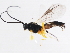  ( - BIOUG01028-C01)  @13 [ ] CreativeCommons - Attribution (2011) CBG Photography Group Centre for Biodiversity Genomics