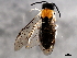  ( - BIOUG01028-D08)  @13 [ ] CreativeCommons - Attribution (2011) CBG Photography Group Centre for Biodiversity Genomics
