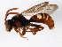  ( - BIOUG01028-G10)  @13 [ ] CreativeCommons - Attribution (2011) CBG Photography Group Centre for Biodiversity Genomics