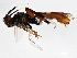  ( - BIOUG01028-H08)  @12 [ ] CreativeCommons - Attribution (2011) CBG Photography Group Centre for Biodiversity Genomics