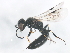  ( - BIOUG01029-G03)  @13 [ ] CreativeCommons - Attribution (2011) CBG Photography Group Centre for Biodiversity Genomics
