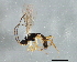  ( - BIOUG01029-H06)  @12 [ ] CreativeCommons - Attribution (2011) CBG Photography Group Centre for Biodiversity Genomics