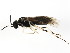  ( - BIOUG01030-A02)  @13 [ ] CreativeCommons - Attribution (2011) CBG Photography Group Centre for Biodiversity Genomics