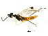  ( - BIOUG01030-B09)  @14 [ ] CreativeCommons - Attribution (2011) CBG Photography Group Centre for Biodiversity Genomics