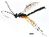  ( - BIOUG01030-C04)  @14 [ ] CreativeCommons - Attribution (2011) CBG Photography Group Centre for Biodiversity Genomics