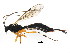  ( - BIOUG01032-B03)  @13 [ ] CreativeCommons - Attribution (2011) CBG Photography Group Centre for Biodiversity Genomics