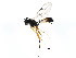  ( - BIOUG01032-F12)  @13 [ ] CreativeCommons - Attribution (2011) CBG Photography Group Centre for Biodiversity Genomics