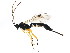  ( - BIOUG01034-A02)  @13 [ ] CreativeCommons - Attribution (2011) CBG Photography Group Centre for Biodiversity Genomics