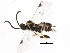  ( - BIOUG01035-G03)  @12 [ ] CreativeCommons - Attribution (2011) CBG Photography Group Centre for Biodiversity Genomics
