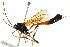  ( - BIOUG01023-E06)  @14 [ ] CreativeCommons - Attribution (2011) CBG Photography Group Centre for Biodiversity Genomics