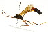  ( - BIOUG01023-F04)  @14 [ ] CreativeCommons - Attribution (2011) CBG Photography Group Centre for Biodiversity Genomics
