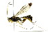  ( - BIOUG01023-F06)  @13 [ ] CreativeCommons - Attribution (2011) CBG Photography Group Centre for Biodiversity Genomics