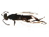  ( - BIOUG01037-B01)  @12 [ ] CreativeCommons - Attribution (2011) CBG Photography Group Centre for Biodiversity Genomics