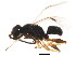  ( - BIOUG01037-F01)  @12 [ ] CreativeCommons - Attribution (2011) CBG Photography Group Centre for Biodiversity Genomics