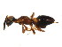  ( - BIOUG01037-G07)  @13 [ ] CreativeCommons - Attribution (2011) CBG Photography Group Centre for Biodiversity Genomics