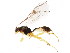  ( - BIOUG01037-G08)  @12 [ ] CreativeCommons - Attribution (2011) CBG Photography Group Centre for Biodiversity Genomics