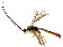  ( - BIOUG01044-G12)  @14 [ ] CreativeCommons - Attribution (2011) CBG Photography Group Centre for Biodiversity Genomics