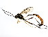  ( - BIOUG01044-H02)  @13 [ ] CreativeCommons - Attribution (2011) CBG Photography Group Centre for Biodiversity Genomics