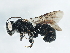  ( - BIOUG01045-D09)  @14 [ ] CreativeCommons - Attribution (2011) CBG Photography Group Centre for Biodiversity Genomics