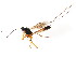  ( - BIOUG01048-A10)  @14 [ ] CreativeCommons - Attribution (2011) CBG Photography Group Centre for Biodiversity Genomics