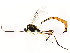  ( - BIOUG01048-C01)  @12 [ ] CreativeCommons - Attribution (2011) CBG Photography Group Centre for Biodiversity Genomics