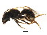 ( - BIOUG01048-C08)  @14 [ ] CreativeCommons - Attribution (2011) CBG Photography Group Centre for Biodiversity Genomics