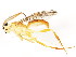  ( - BIOUG01048-E11)  @12 [ ] CreativeCommons - Attribution (2011) CBG Photography Group Centre for Biodiversity Genomics