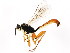  ( - BIOUG01048-H02)  @14 [ ] CreativeCommons - Attribution (2011) CBG Photography Group Centre for Biodiversity Genomics