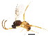 ( - BIOUG01049-D12)  @13 [ ] CreativeCommons - Attribution (2011) CBG Photography Group Centre for Biodiversity Genomics