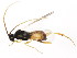  ( - BIOUG01049-E01)  @12 [ ] CreativeCommons - Attribution (2011) CBG Photography Group Centre for Biodiversity Genomics