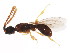  (Labolips - BIOUG01049-E10)  @14 [ ] CreativeCommons - Attribution (2011) CBG Photography Group Centre for Biodiversity Genomics