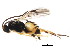  ( - BIOUG01049-F06)  @12 [ ] CreativeCommons - Attribution (2011) CBG Photography Group Centre for Biodiversity Genomics