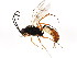 ( - BIOUG01076-C07)  @14 [ ] CreativeCommons - Attribution (2011) CBG Photography Group Centre for Biodiversity Genomics