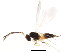  ( - BIOUG01077-A07)  @12 [ ] CreativeCommons - Attribution (2011) CBG Photography Group Centre for Biodiversity Genomics