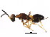  ( - BIOUG01077-D11)  @14 [ ] CreativeCommons - Attribution (2011) CBG Photography Group Centre for Biodiversity Genomics