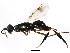  ( - BIOUG01077-F09)  @12 [ ] CreativeCommons - Attribution (2011) CBG Photography Group Centre for Biodiversity Genomics